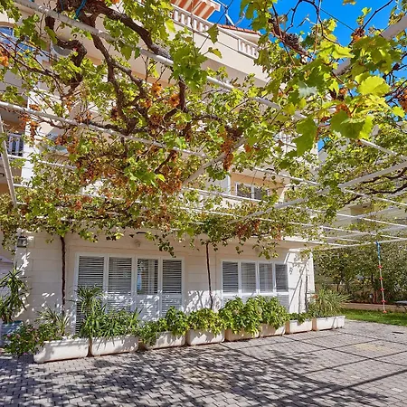 Apartment Ivica Makarska
