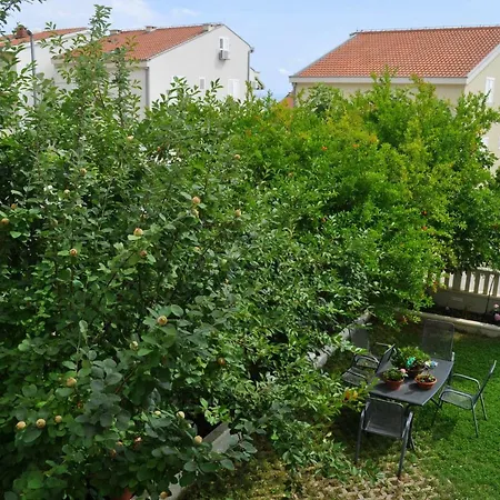 Ivica マカルスカ